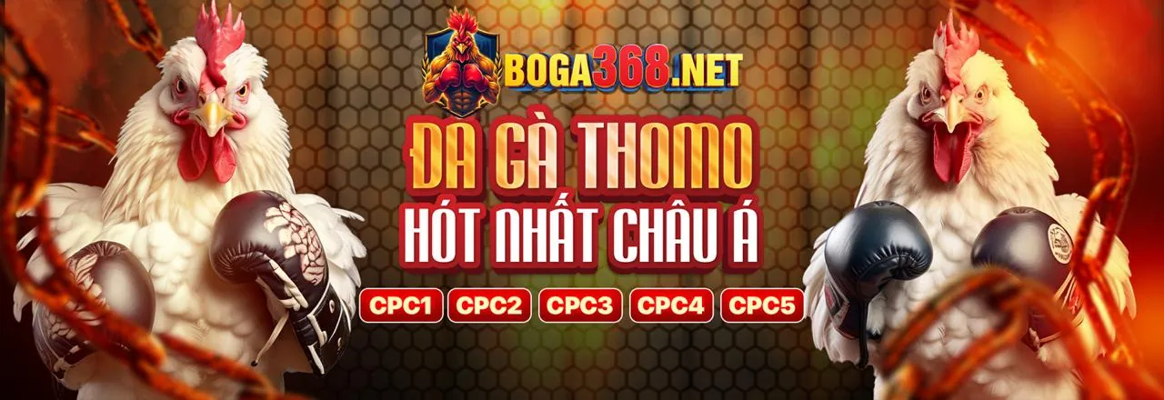 Đá Gà Trực Tuyến 999BET uy tín hàng đầu